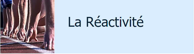 Société AL Consulting une société réactive